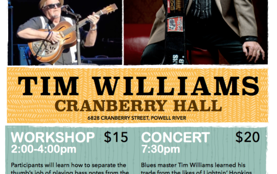 Tim Williams Workshop and Concert